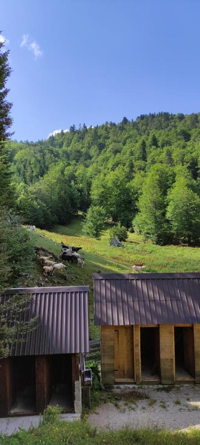 Dulovic - Katun Potoci Villa Kolasin Exterior photo